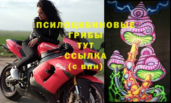хмурый Алексеевка