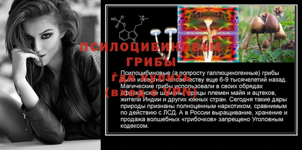 хмурый Алексеевка
