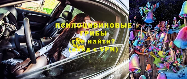 хмурый Алексеевка