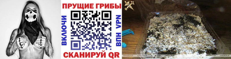 ОМГ ОМГ сайт Печоры Галлюциногенные грибы Magic Shrooms